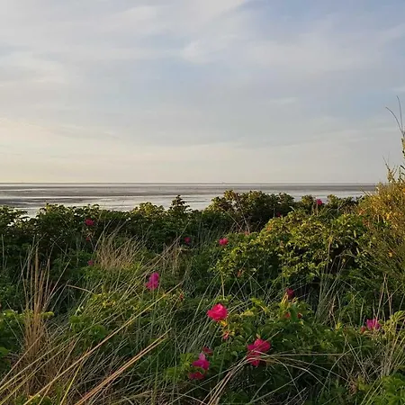 Apartment Residenz Hohe Worth Cuxhaven