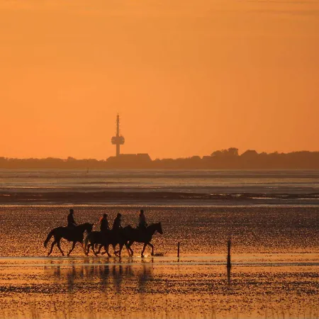 아파트 Residenz Hohe Worth 쿡스하펜